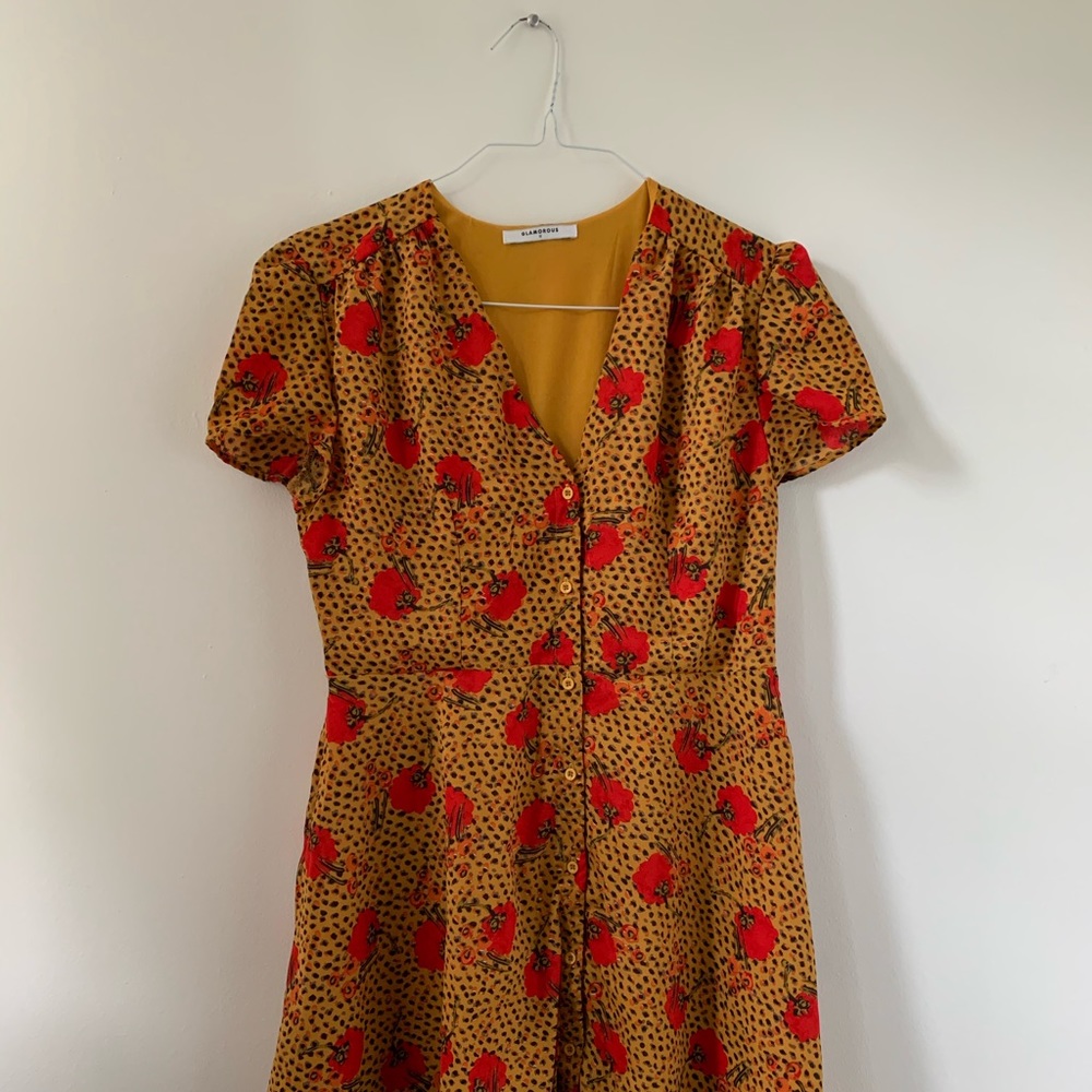 ASOS poppy dress (m)